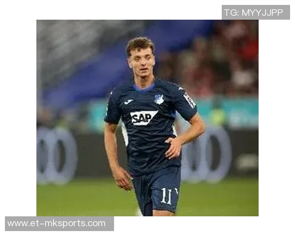 德天空:拜仁将霍村前锋阿斯拉尼列入引援名单,巴萨也在关注